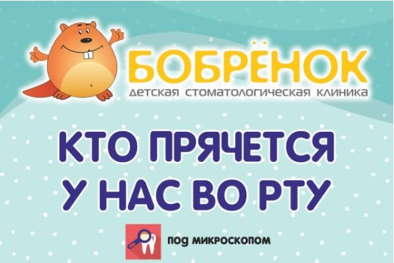 Кто прячется у нас во рту?